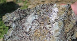 Odborné přednášky a semináře