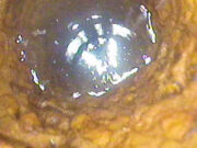 Prezentace z metodického semináře, Praha 14.6.2023